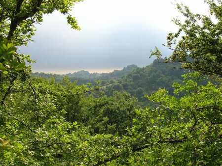 Жара