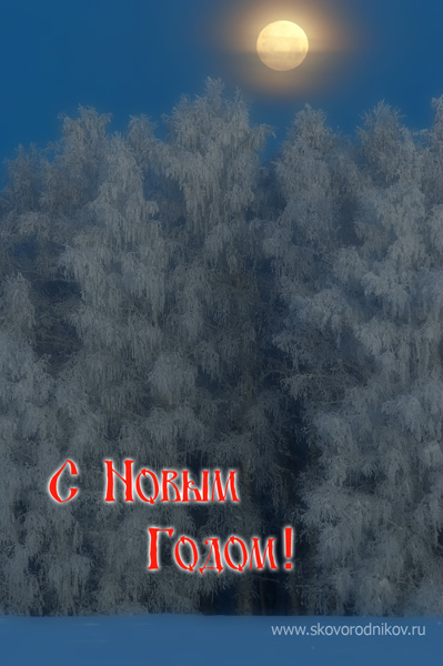 С Новым Годом!