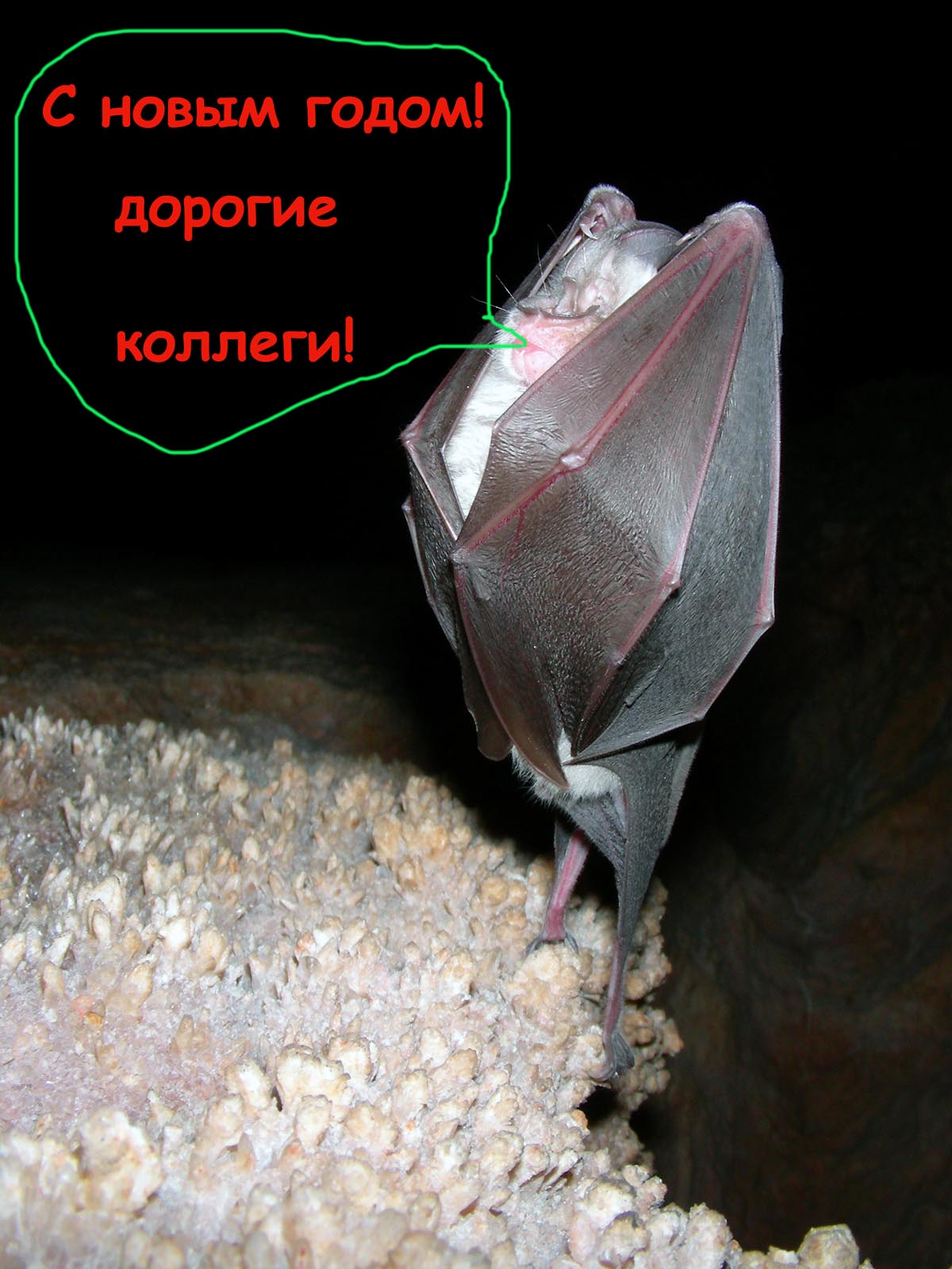 Ария мистера Икс
