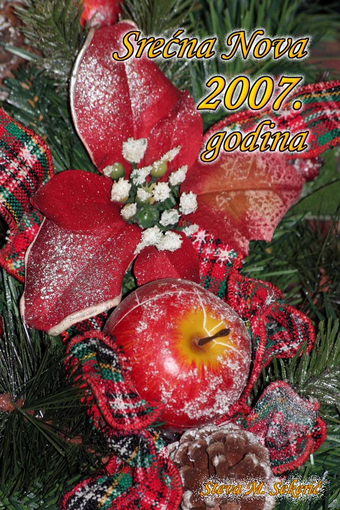 СРЕЋНА ВАМ НОВА 2007. ГОДИНА