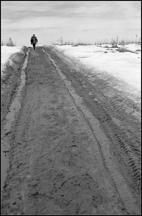 2006 год