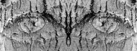 Деревянный взгляд