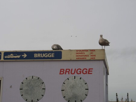 Ожидание корабля на Брюгге