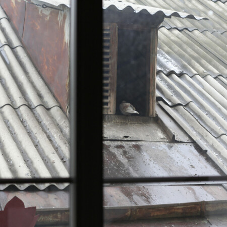 Просто зима