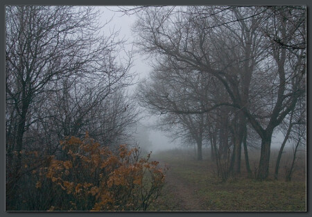 Туманные сумерки (1)