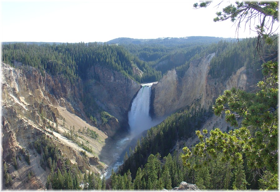 Yellowstone Falls