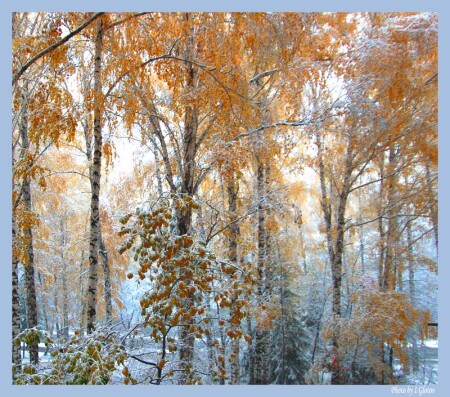 Осень и Зима. Первая встреча.