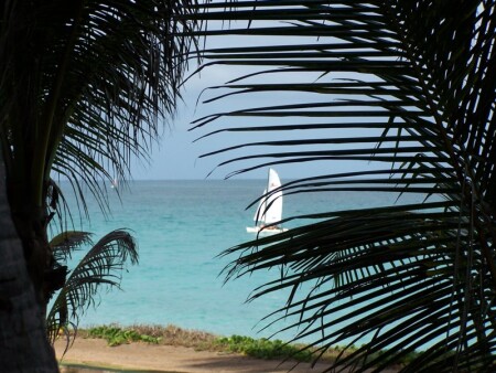 Paradise...