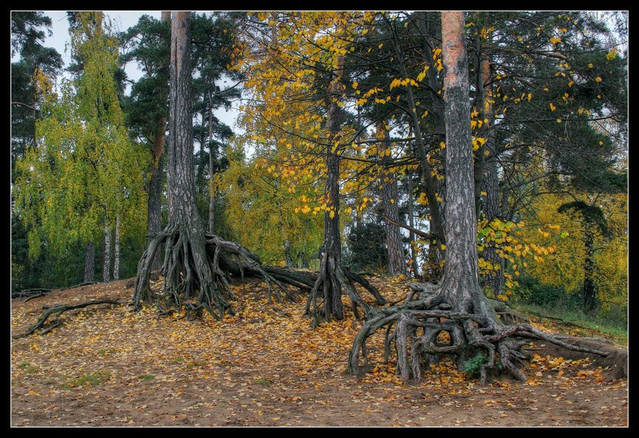 Прогулка