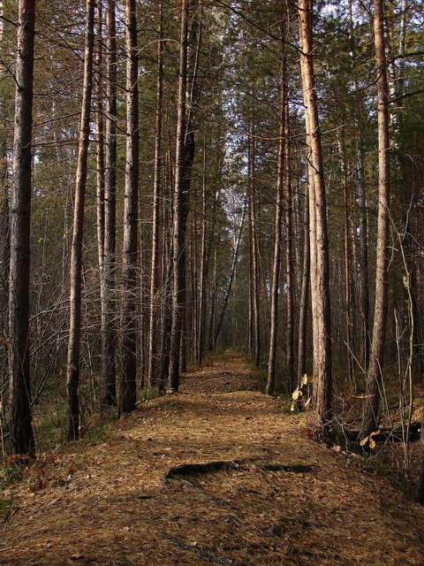 аллея