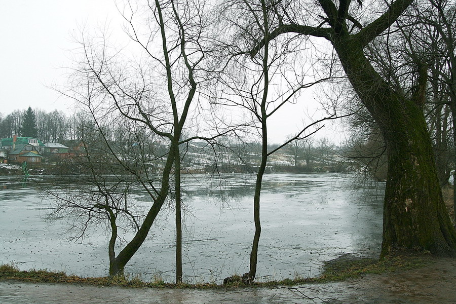 Ясная поляна 02.01.2007