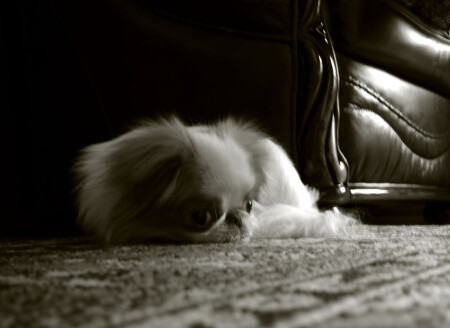 Не спится...