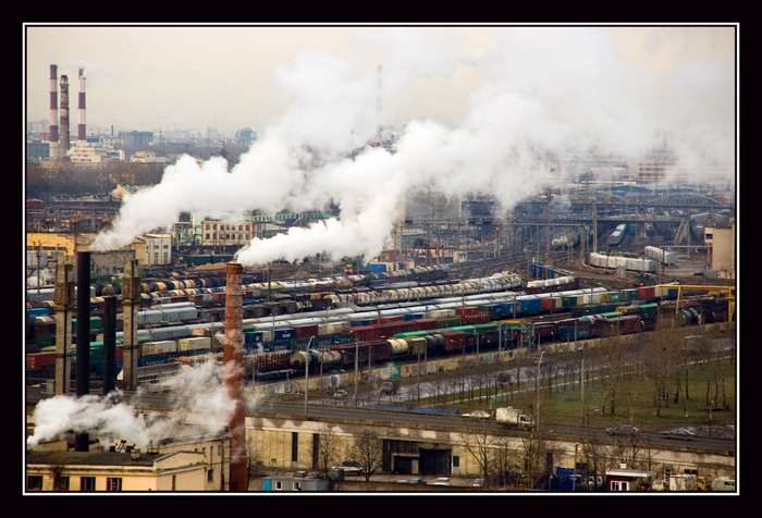 кровеносная система