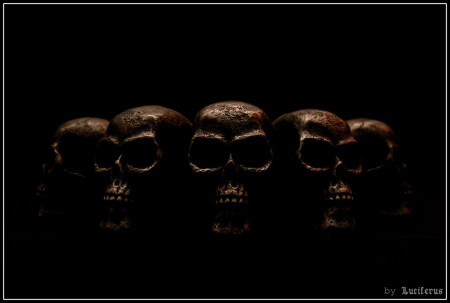 Skulls