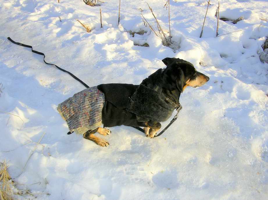 А ведь были морозы...