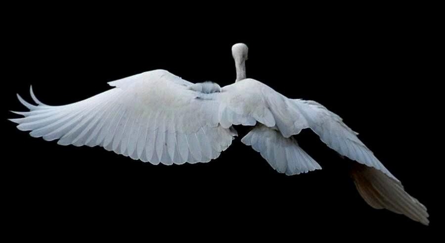 take-off