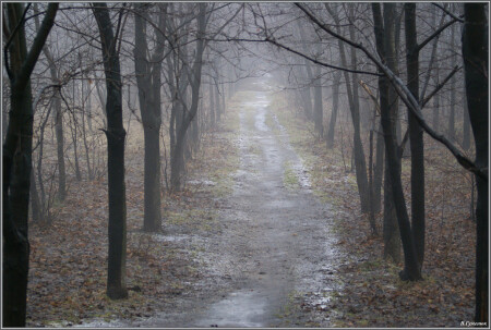 Такой, вот, январь
