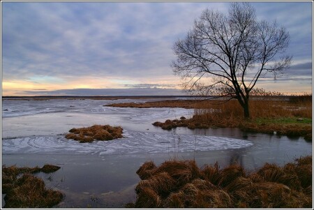 Январь 2007