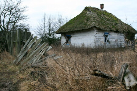 тени забытых предков