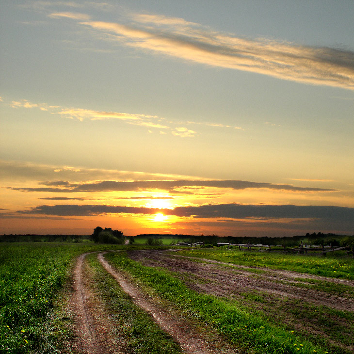 Gold Evening / Repost