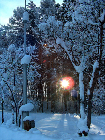 Сибирская оттепель