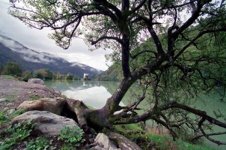 Жажда жизни