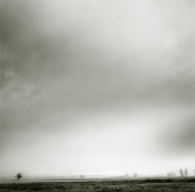 in the distance