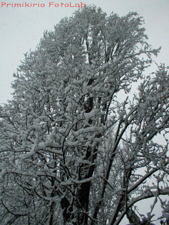 По снегу к небу