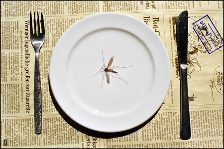 bON aPpeTit