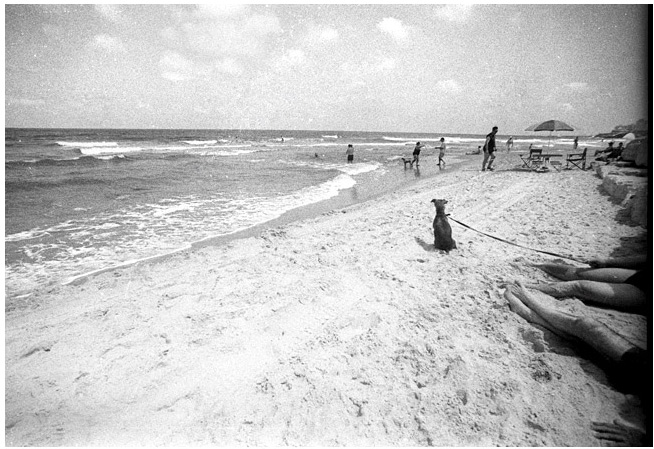 в море