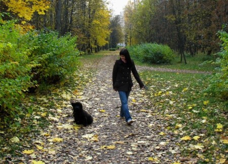 пргулка в парке