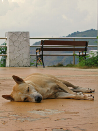 Мертвый сезон