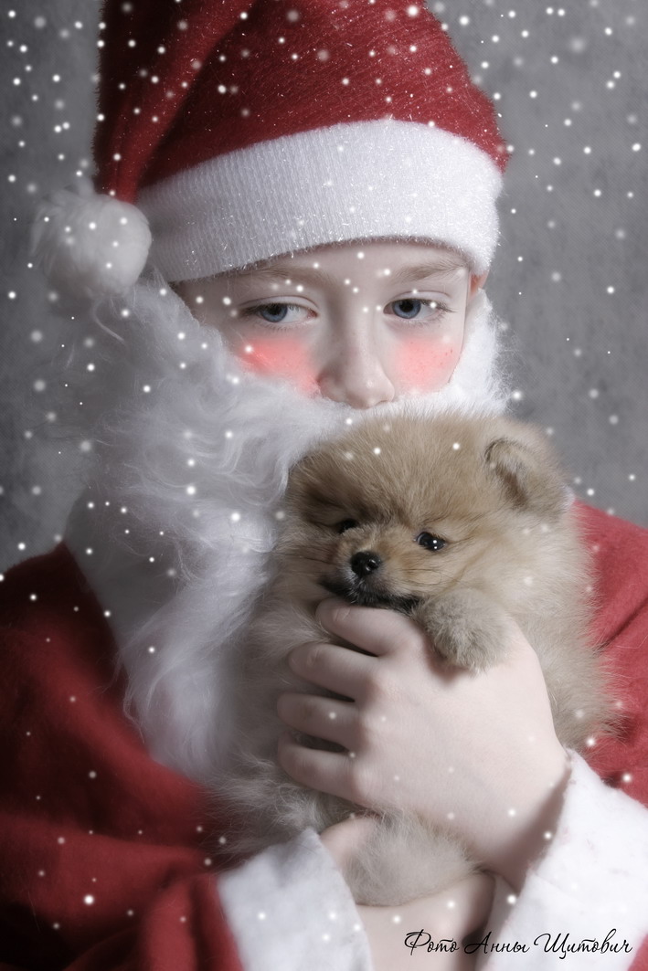 Новогоднее