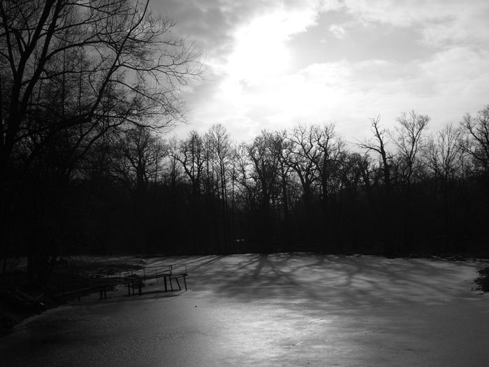 The ring plot