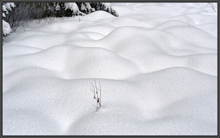 Мечты о снеге