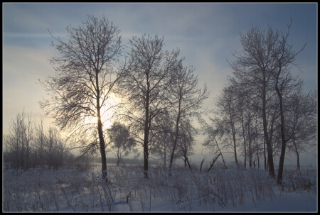 Siberia....