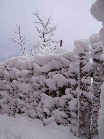 Причуды_Кирила