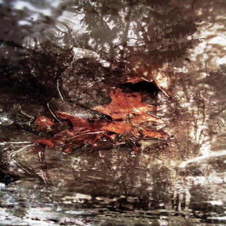 ice
