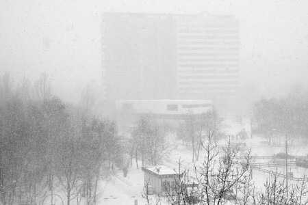 В Москву наконец пришла зима (21 января 2007г.)