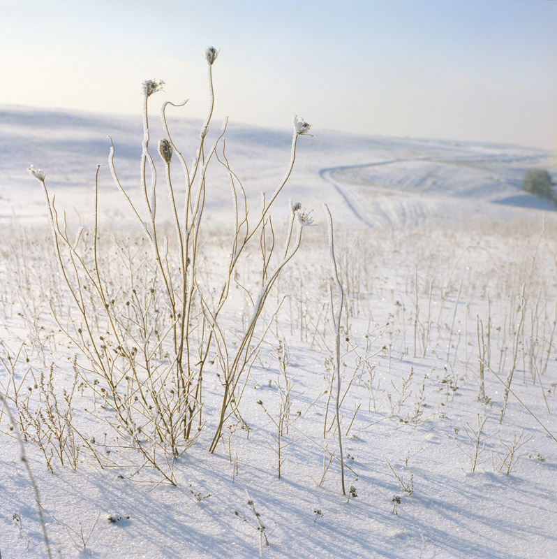 -20C