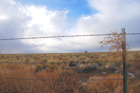 Перекати-поле