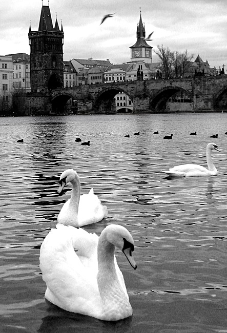 Prague 2