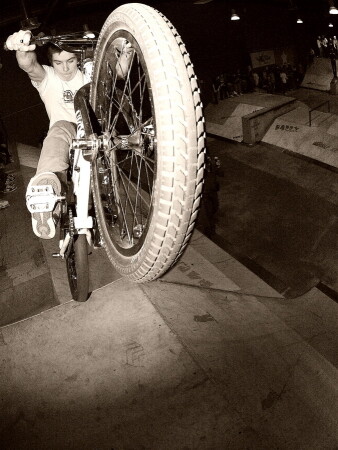 BmX