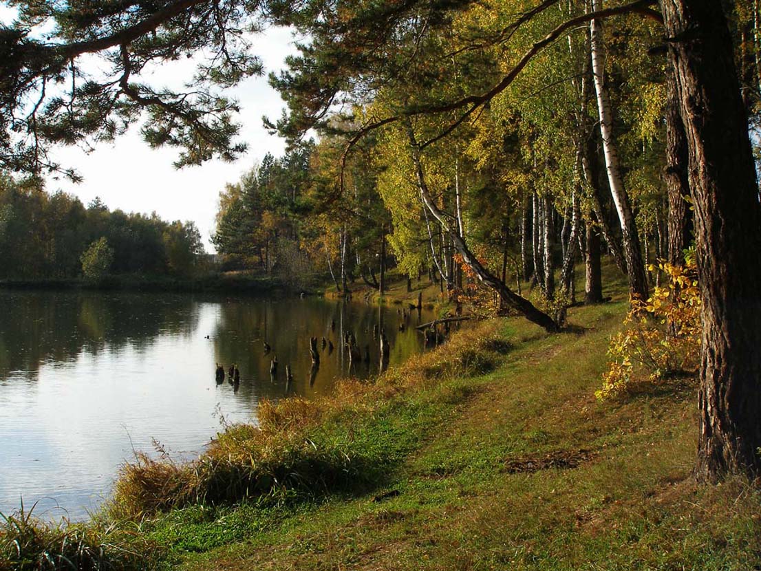 Подмосковье