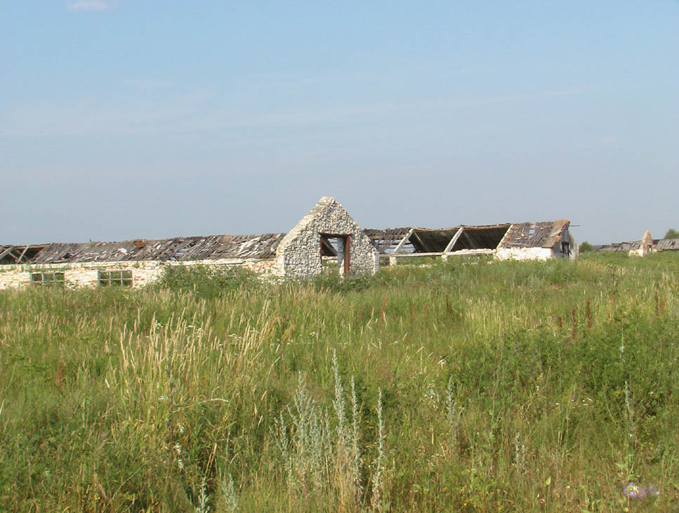 2006