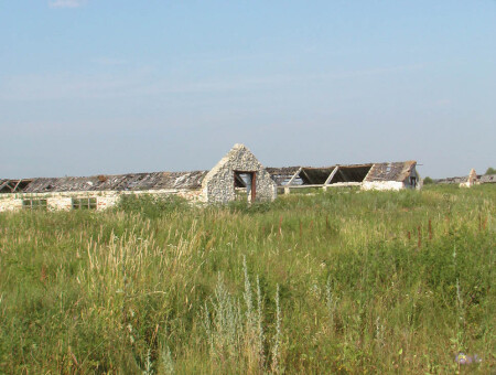 2006