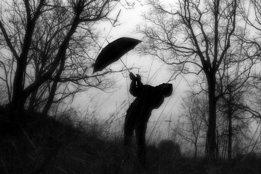 singing in the rain witout a rain