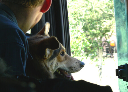 В тесноте, да не в обиде