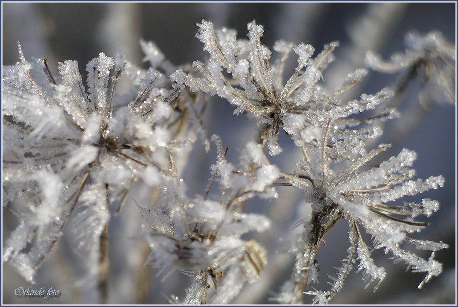 crystal II
