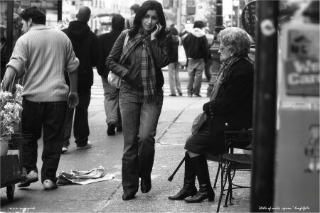"LADY NEW YORK"